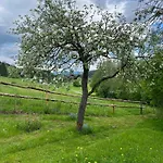 Ferienhäuschen In