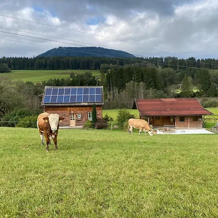 Ferienhaeuschen In *