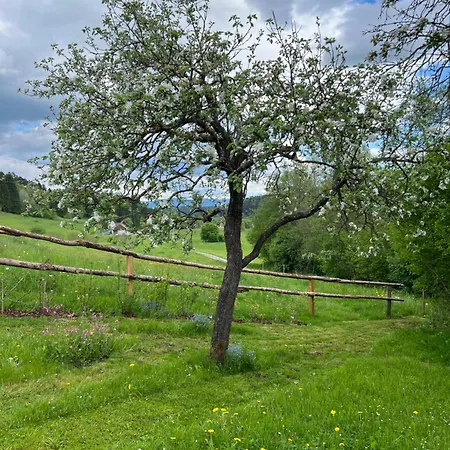 Ferienhaeuschen In