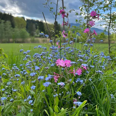Ferienhaeuschen In Апартаменты