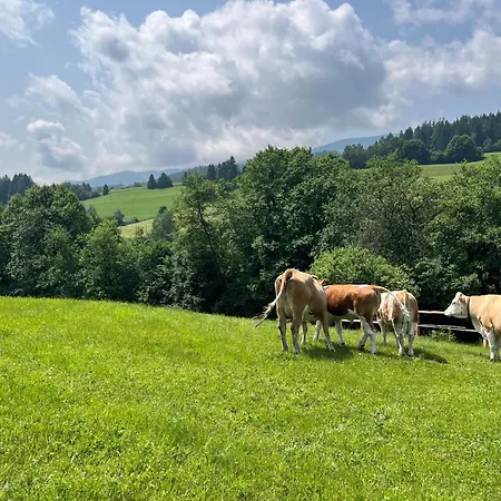 Апартаменты Ferienhaeuschen In