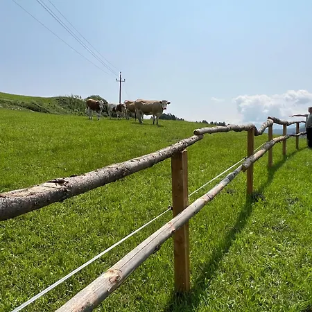 Ferienhaeuschen In شقة Mariahof