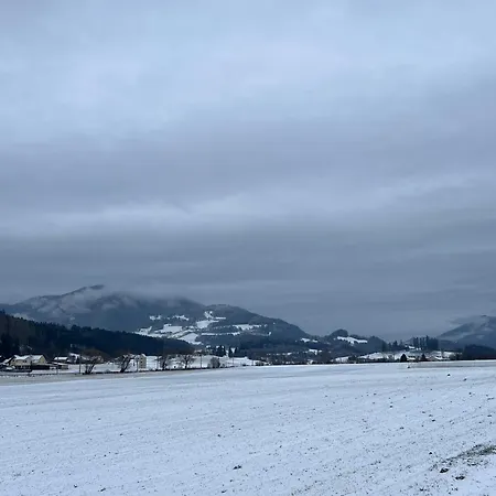 Ferienhaeuschen In Апартаменты Мариахоф