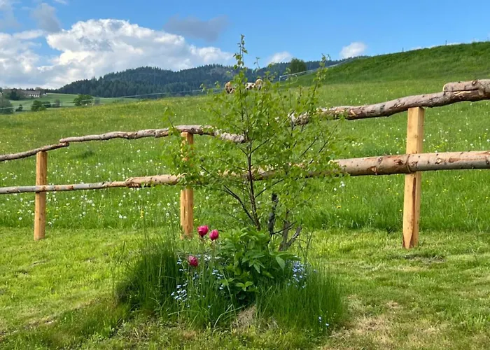 Ferienhaeuschen In Mariahof