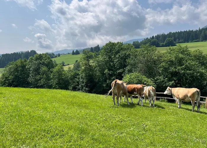 Appartamento Ferienhaeuschen In