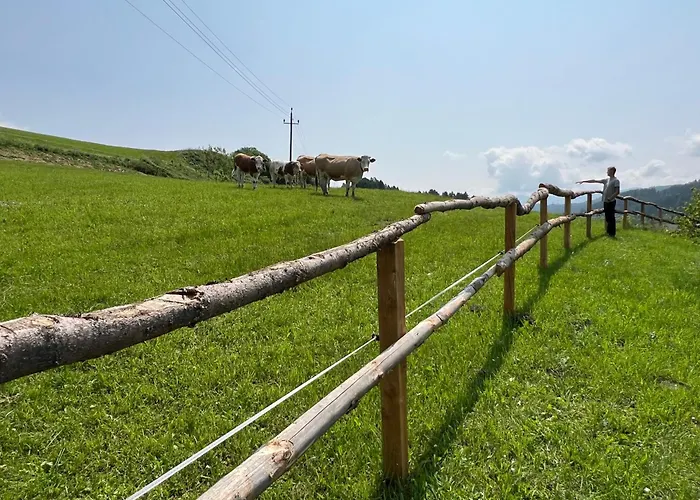 Ferienhaeuschen In Appartamento Mariahof