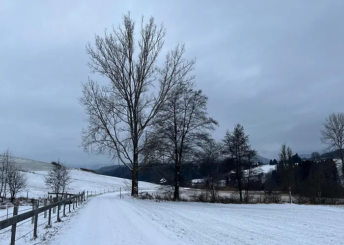 Ferienhaeuschen In Appartamento Mariahof